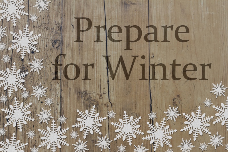 prepare for winter