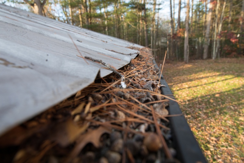 A closeup of a roof's gutters. Various leaves and other debris have filled the gutters to the brim.