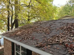 Roof with leaves