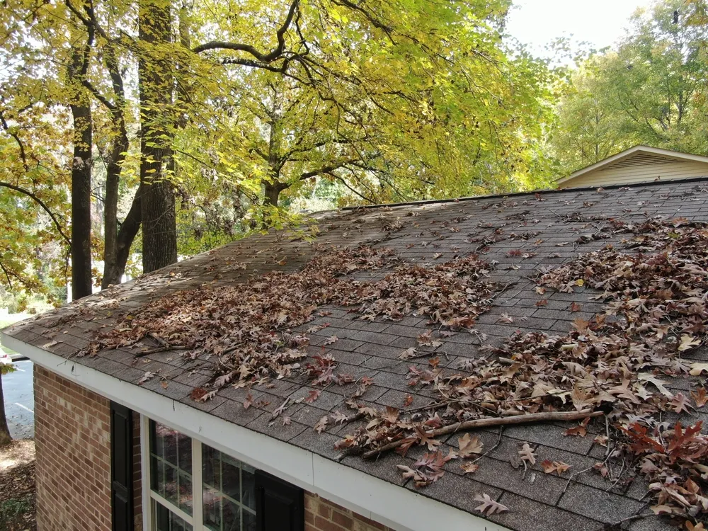 Roof with leaves